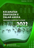 Kecamatan Banyuasin II Dalam Angka 2022