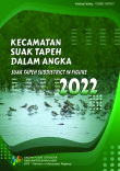 Kecamatan Suak Tapeh Dalam Angka 2022